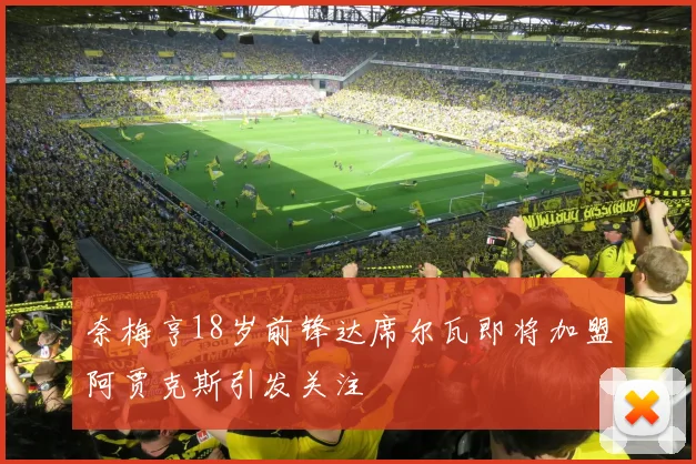奈梅亨18岁前锋达席尔瓦即将加盟阿贾克斯引发关注